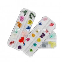 Wholesale nail decoration dry flower nail art new nail decals